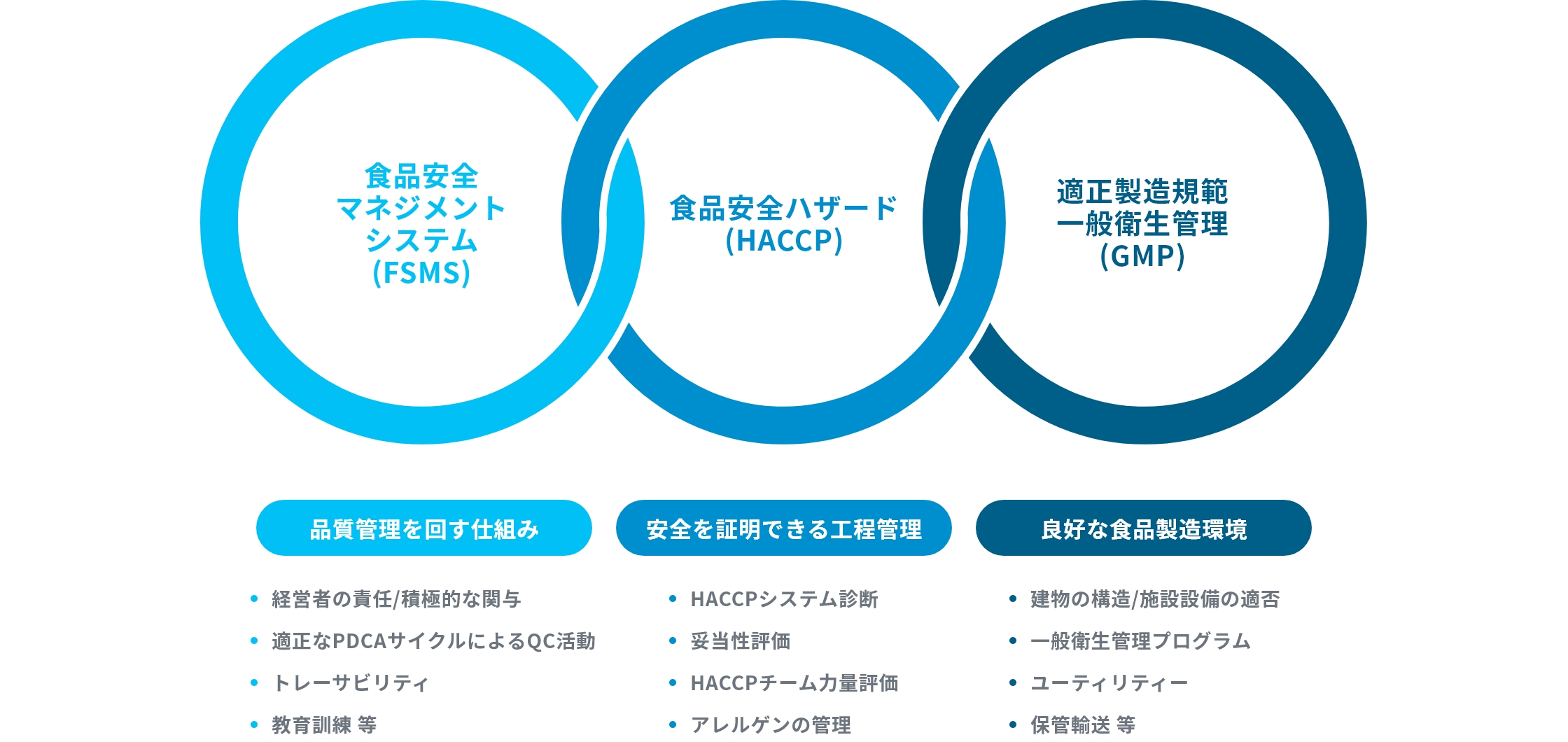 FSMS、Codex HACCP、GMP、3つの領域の管理手法の導入関係図