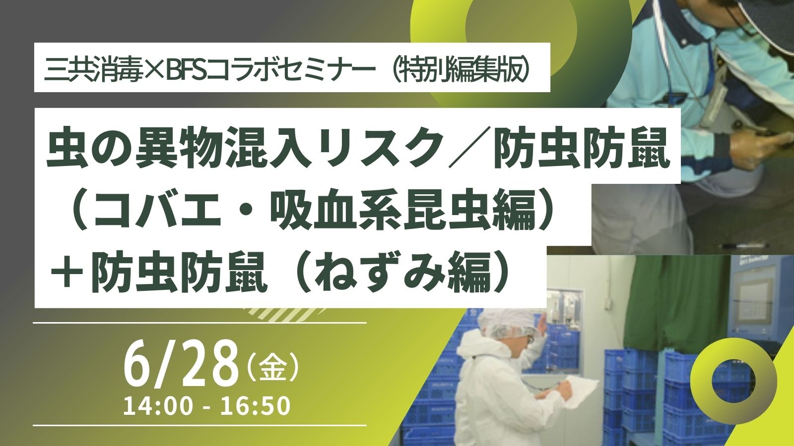 ［2024/6/28開催］虫の異物混入リスク／防虫防鼠（コバエ・吸血系昆虫編）+防虫防鼠（ねずみ編）（録画配信）