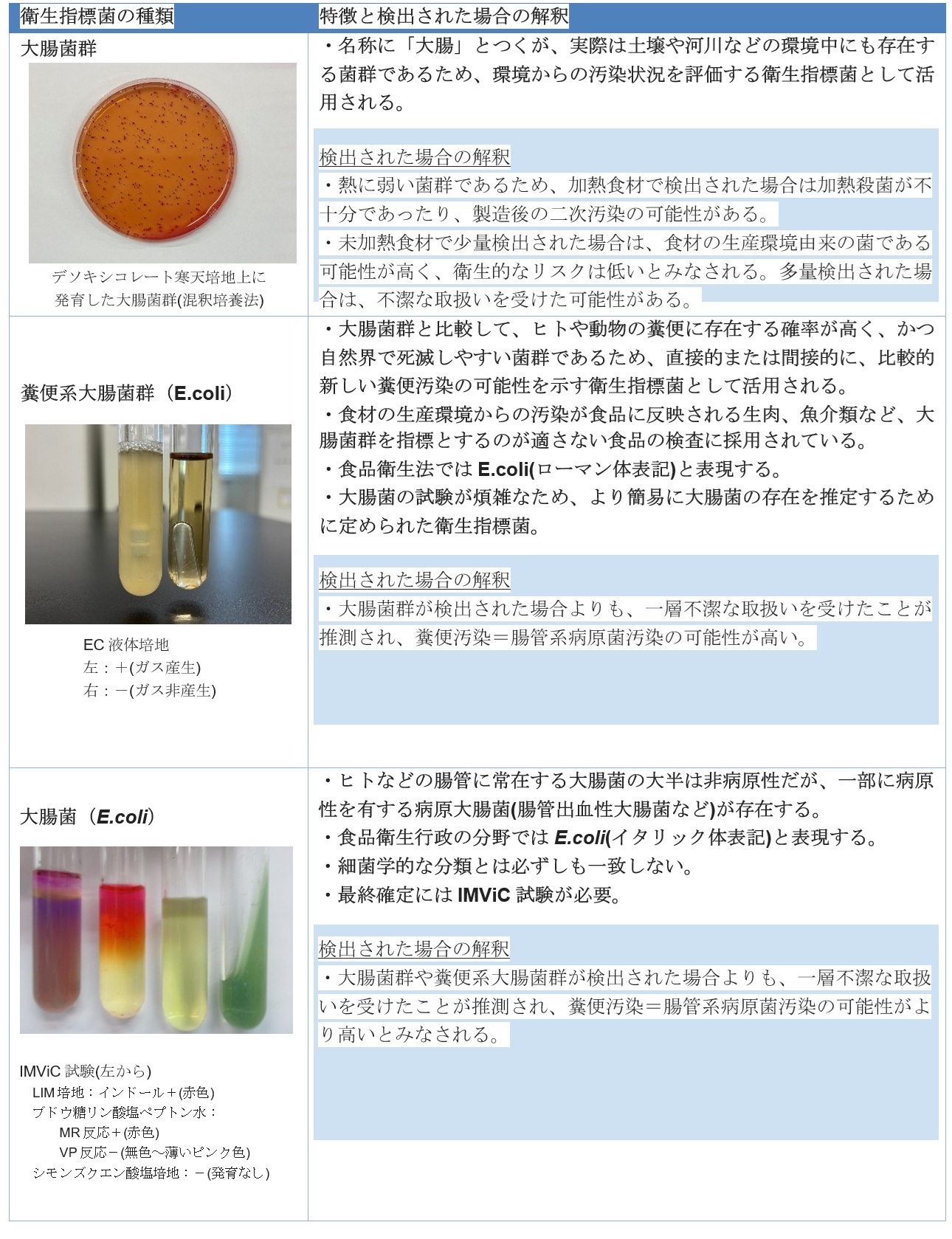E.coli01-2.jpg