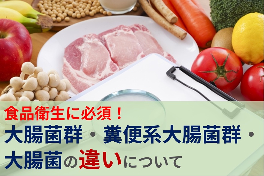 食品衛生に必須！大腸菌群・糞便系大腸菌群・大腸菌の違いについて