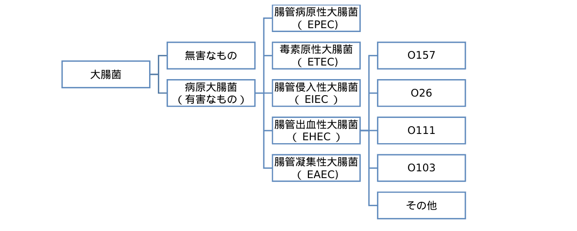 腸管出血性大腸菌のグラフ