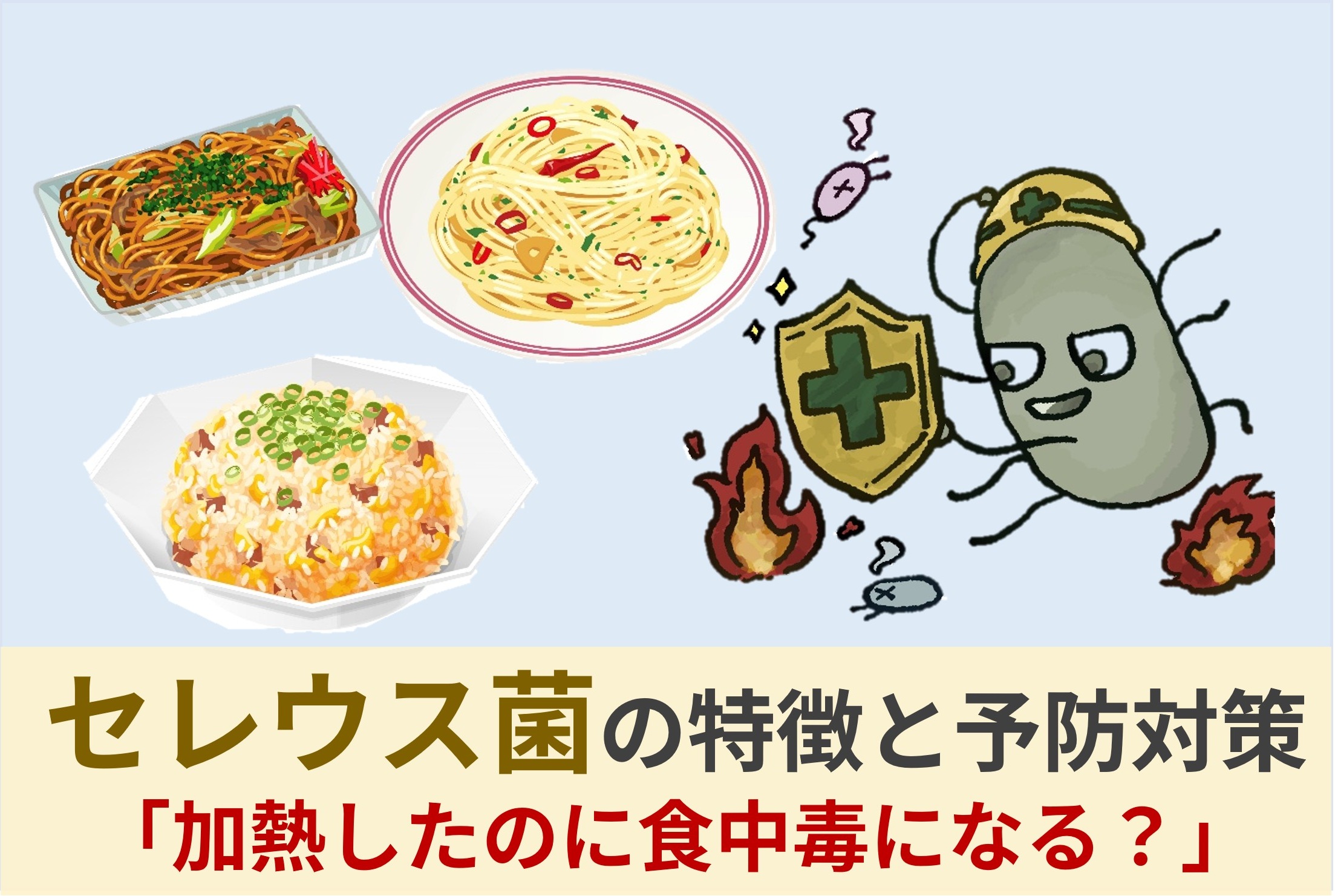 セレウス菌の特徴と予防対策　「加熱したのに食中毒になる？」