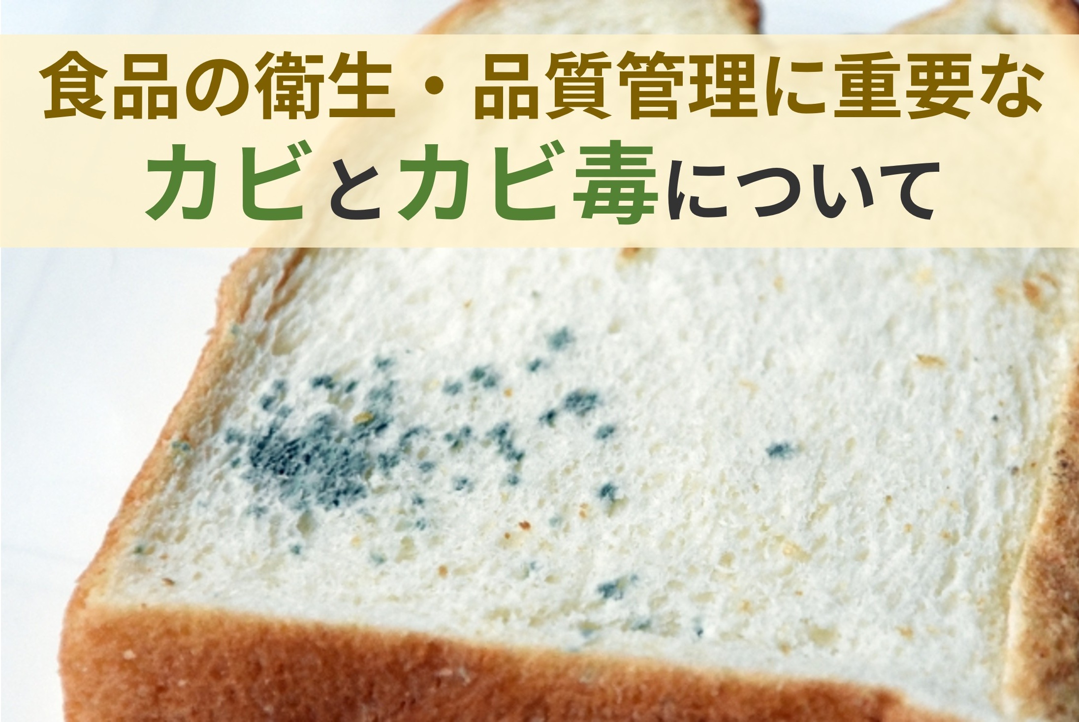 食品の衛生・品質管理に重要なカビとカビ毒について
