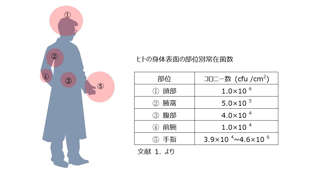 kensakihon2.jpg