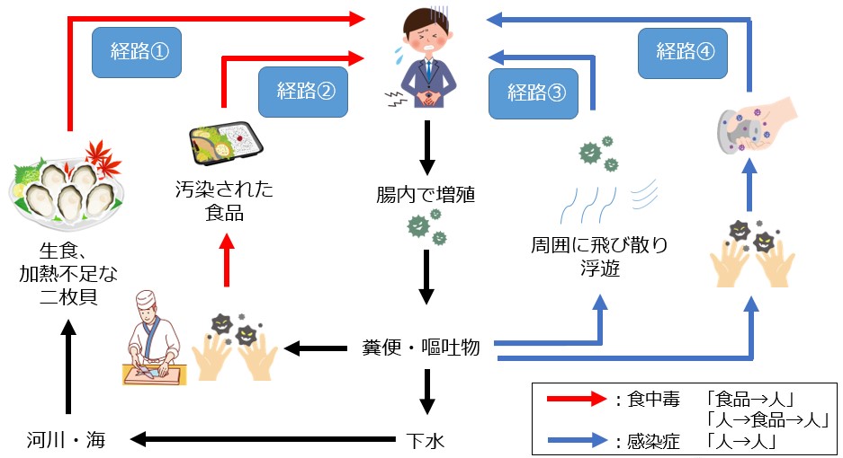 noroscreening2.jpg